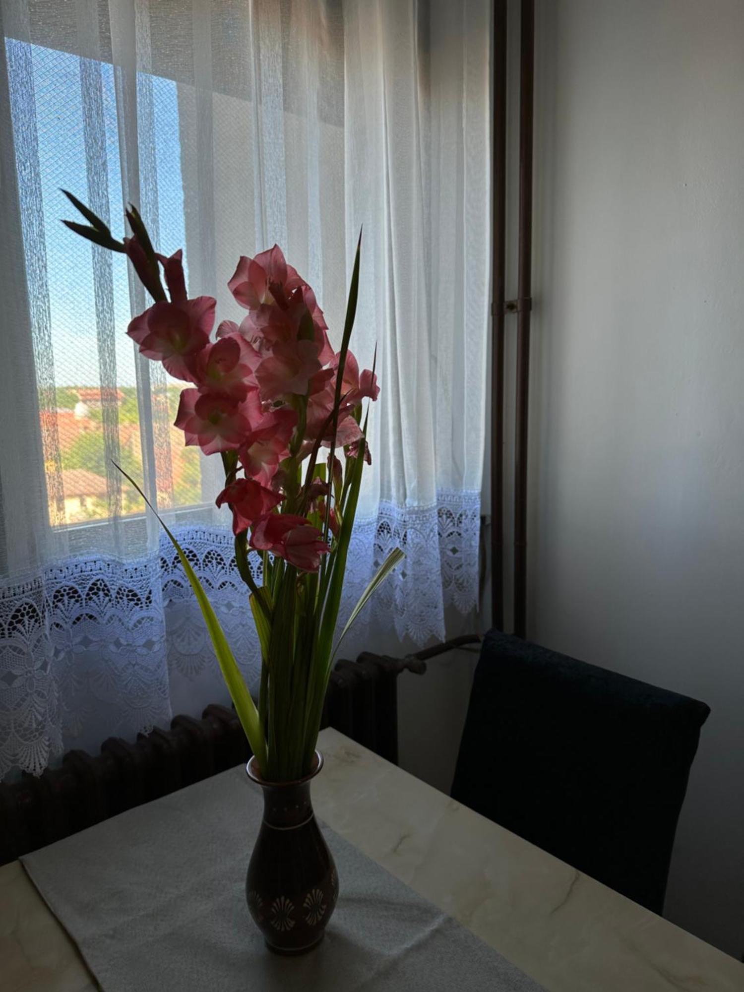 Tamaris Apartment スボティツァ エクステリア 写真